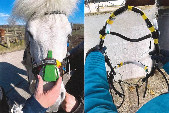 Quantum Bridle is proven to reduce pressure and improve performance