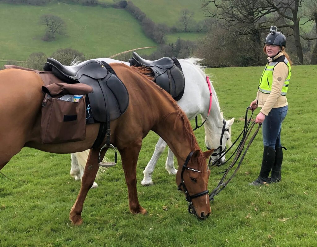 Welfare Bridle - Quantum