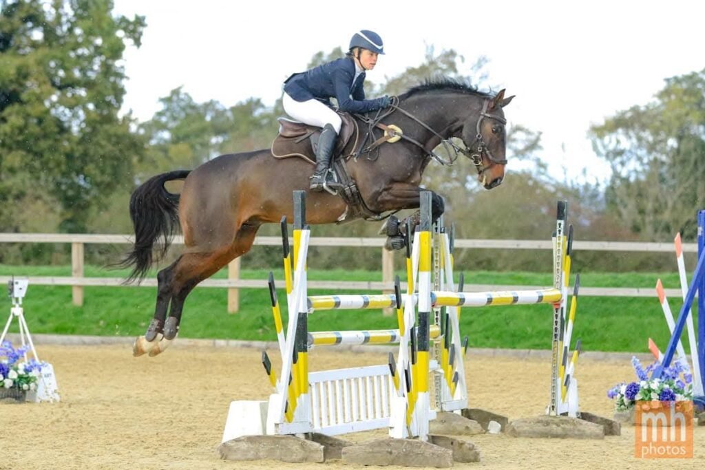 Quantum Bridle on show jumping horse