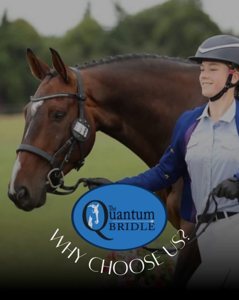 Quantum Bridle on horse