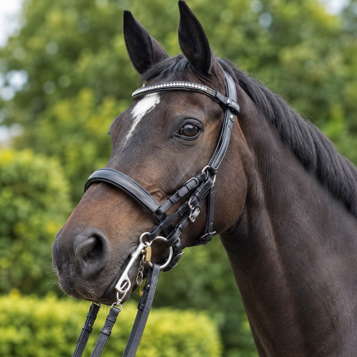 Double Bridle