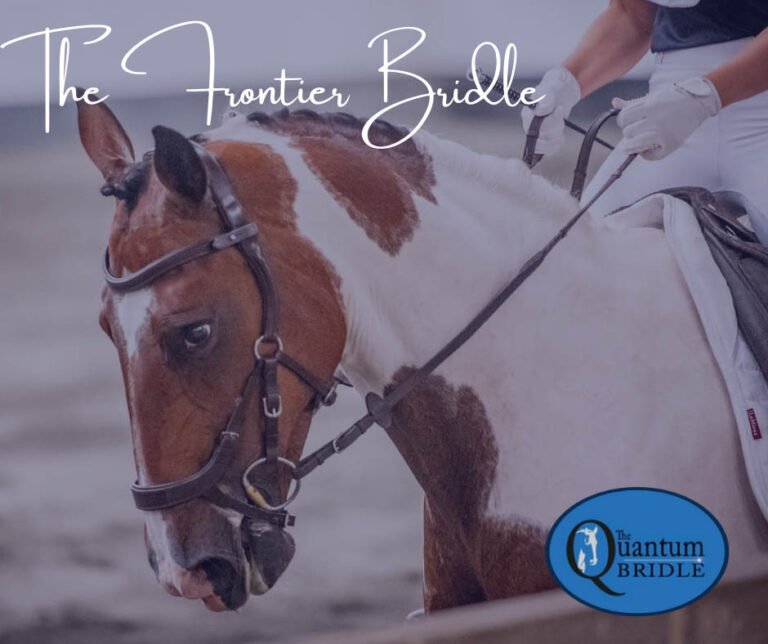 The frontier Bridle